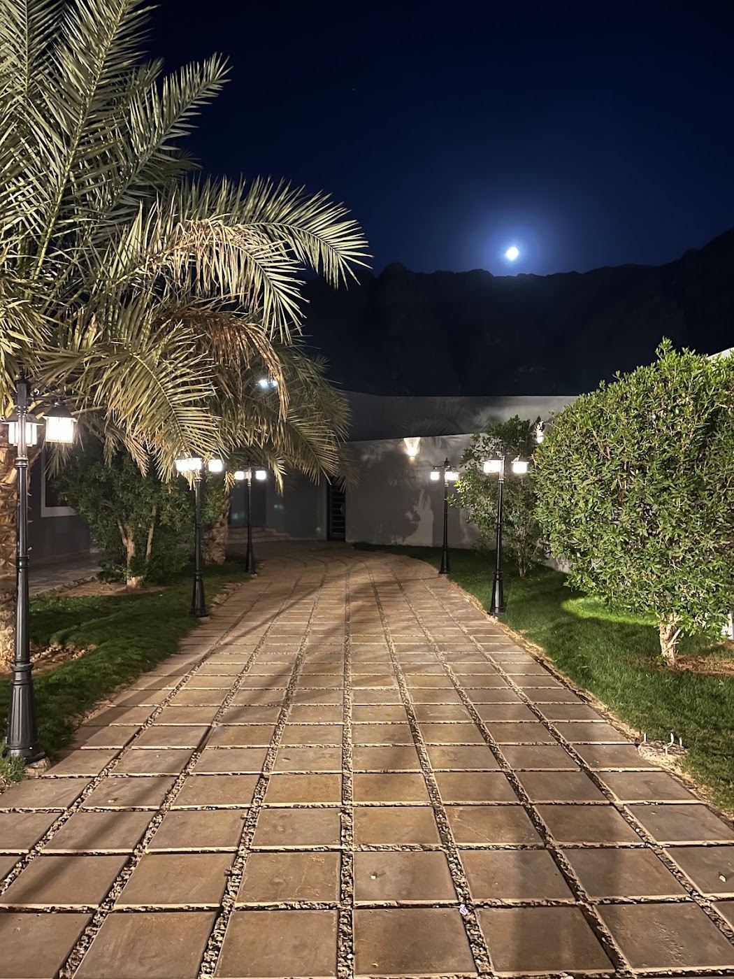 ممر الحديقة والإضاءة الخارجية